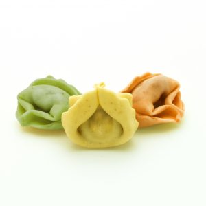 tort1_multicolor tort1_multicolor